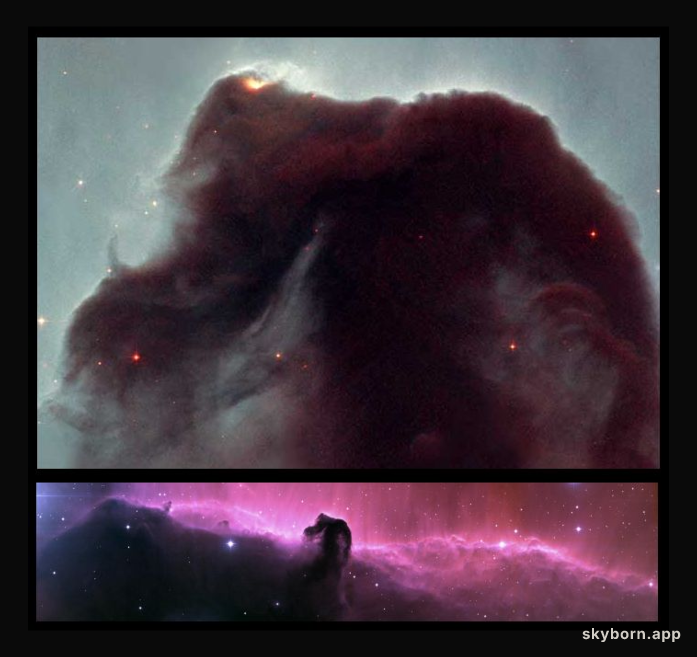 Horsehead Rides Again