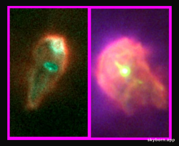 Protoplanetary Survivors in Orion