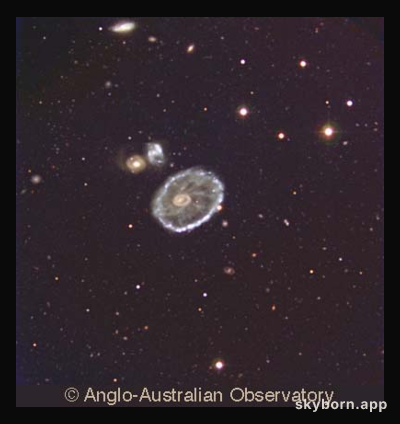 The Cartwheel Galaxy
