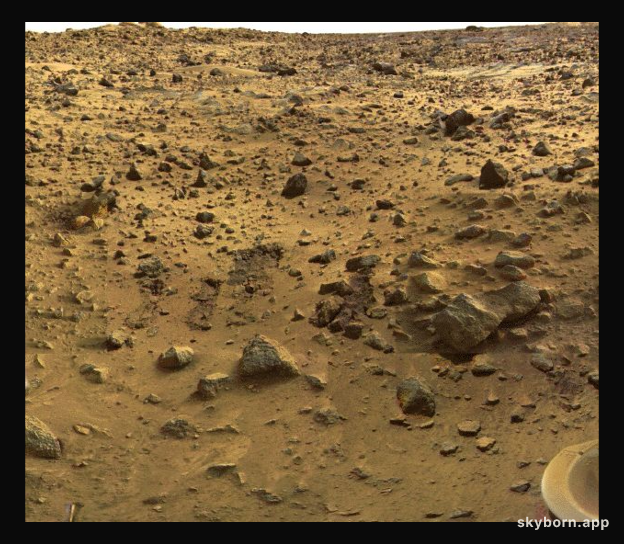 25 Years Ago: Vikings on Mars