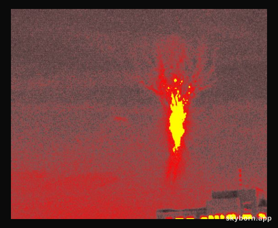 Burning Tree Sprite