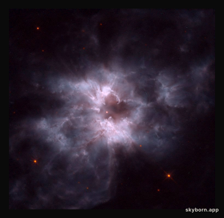 NGC 2440: Cocoon of a New White Dwarf