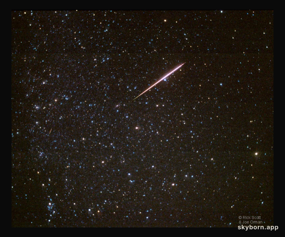 Perseids of Summer