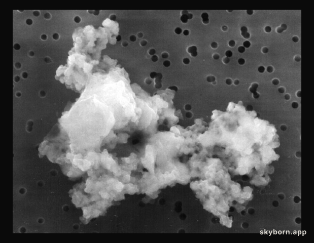 A Piece of Interplanetary Dust