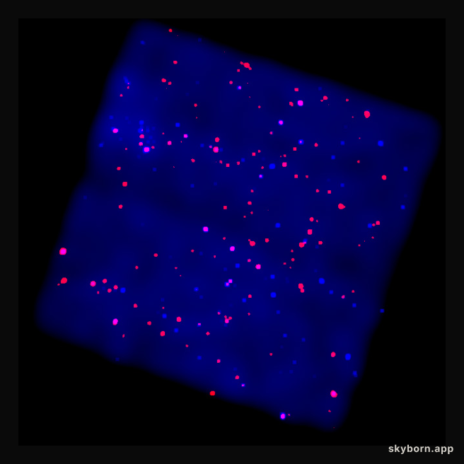 X-Rays from the Galactic Plane