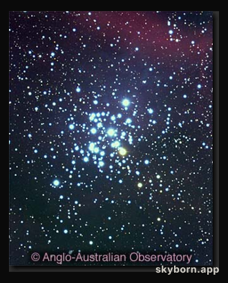 NGC 3293: A Bright Young Open Cluster