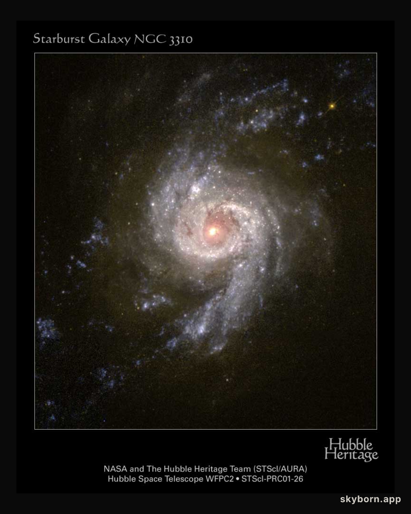 Spiral Galaxy NGC 3310 Across the Visible