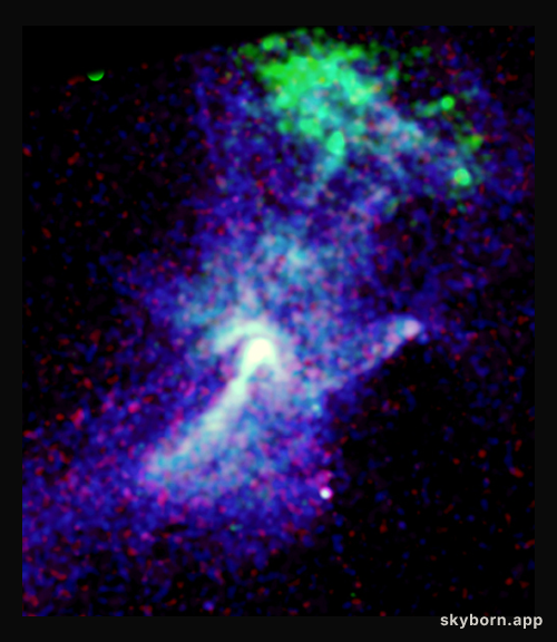 X-Rays and the Circinus Pulsar