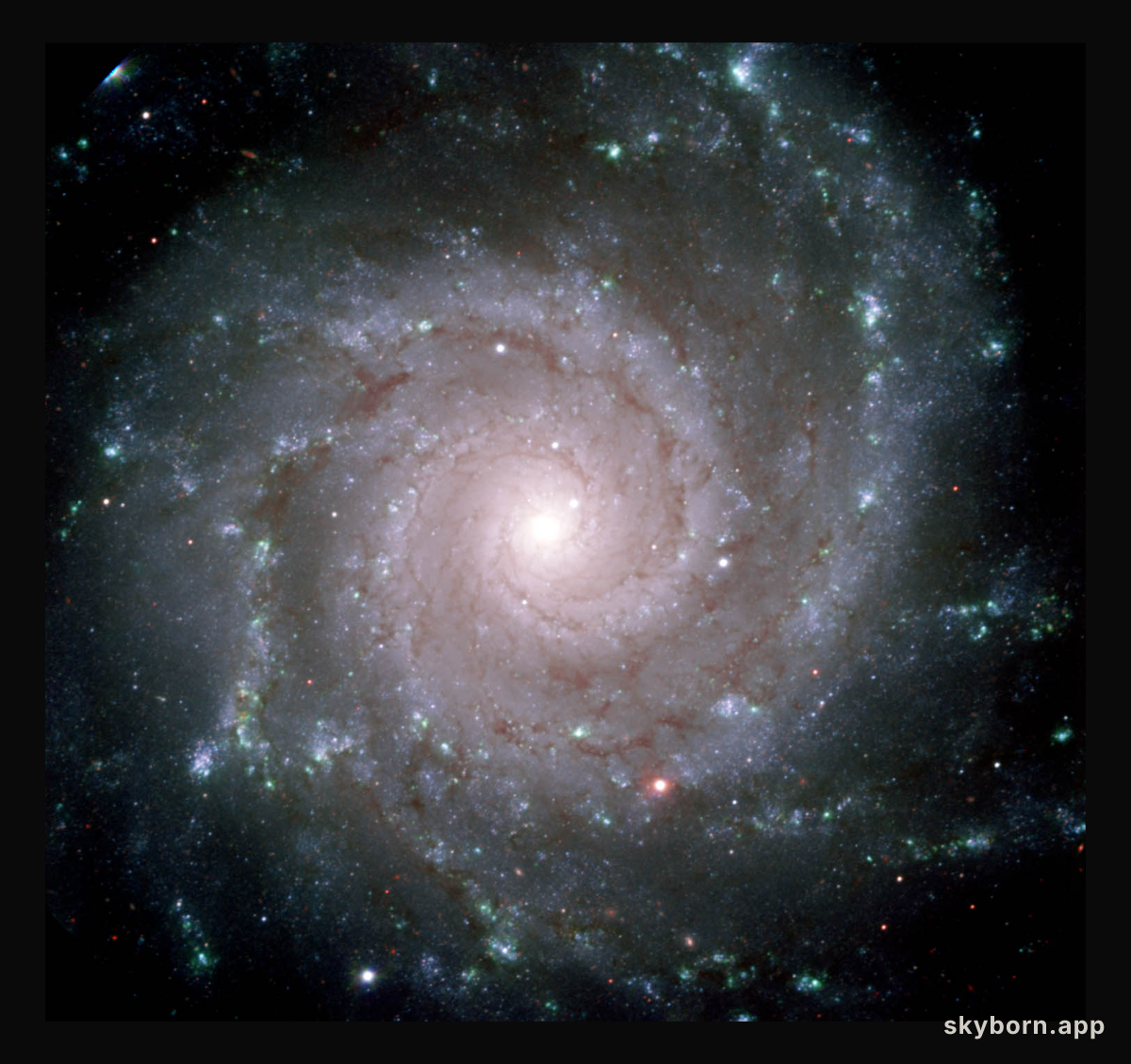 M74: The Perfect Spiral