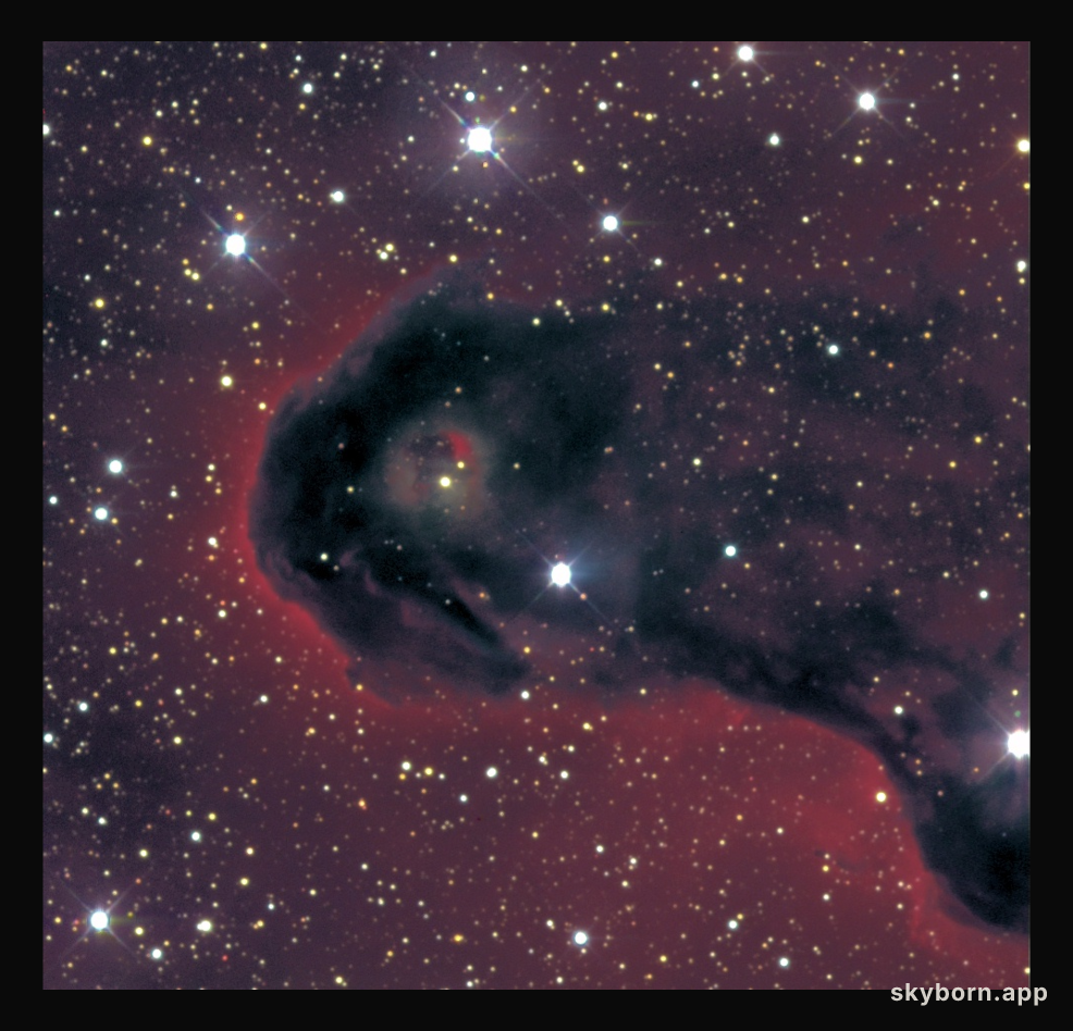 VDB 142 in Cepheus