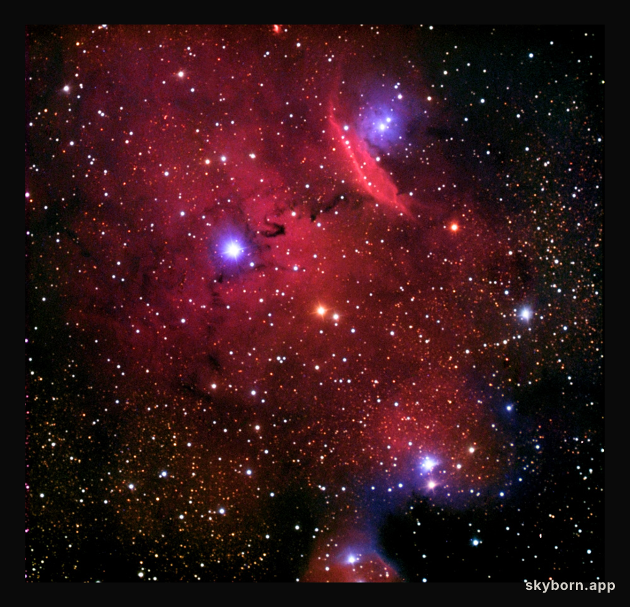 Emission and Reflection in NGC 6559