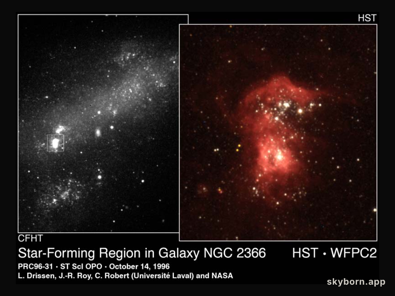 Bright Stars, Dim Galaxy
