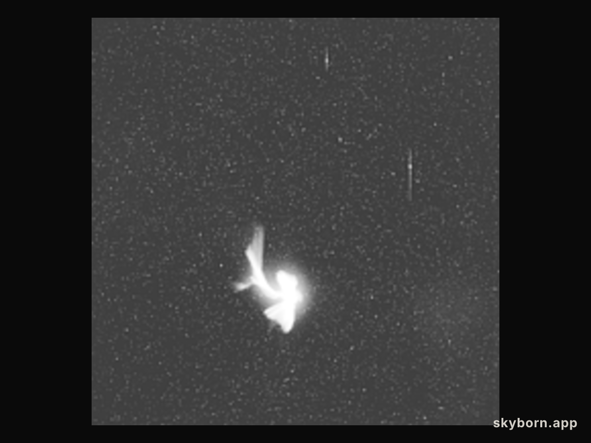 A Leonid Meteor Explodes