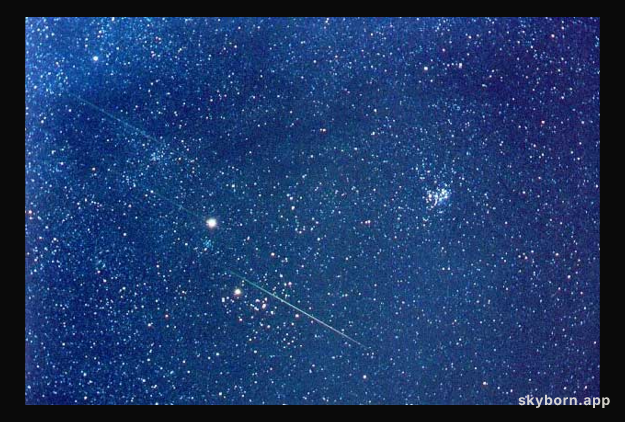 A Leonids Star Field