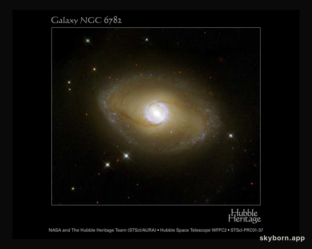 The Galactic Ring of NGC 6782