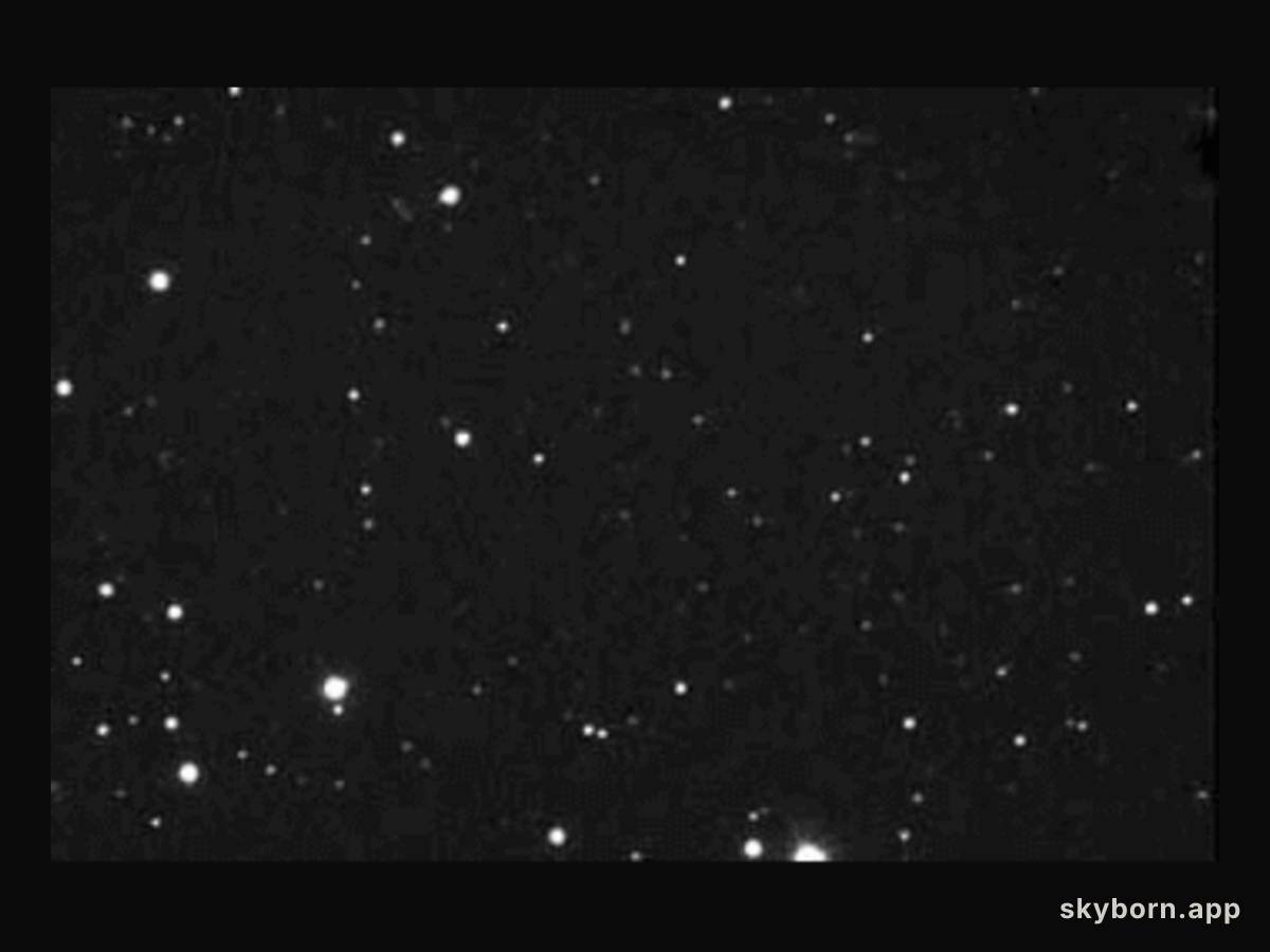 Asteroid 1998 WT24 Passes Near Earth