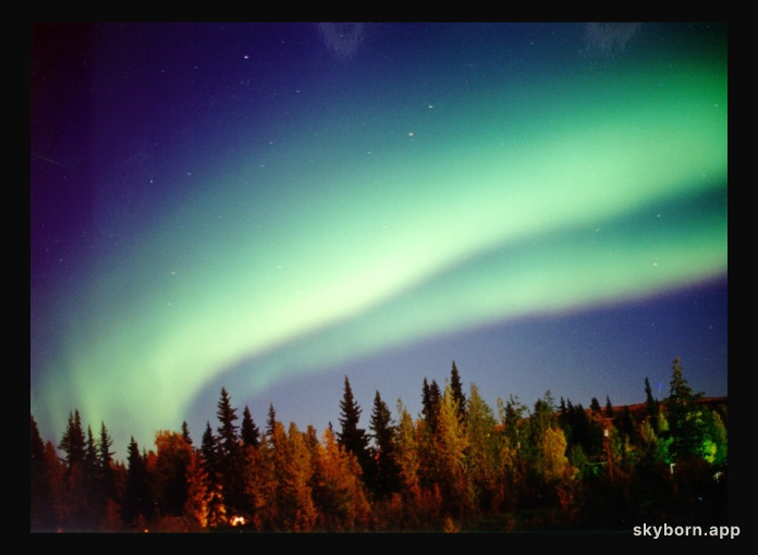 The Secret of the Black Aurora