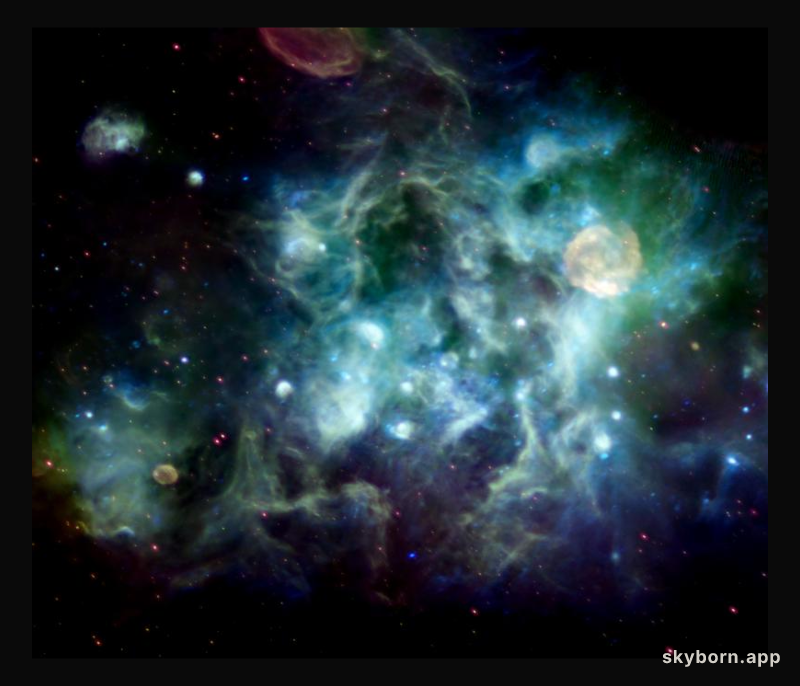 A Radio Vista of Cygnus
