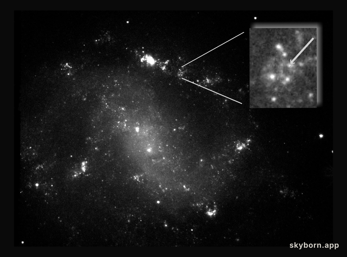 ESO 184-G82: Supernova - Gamma Ray Burst Connection