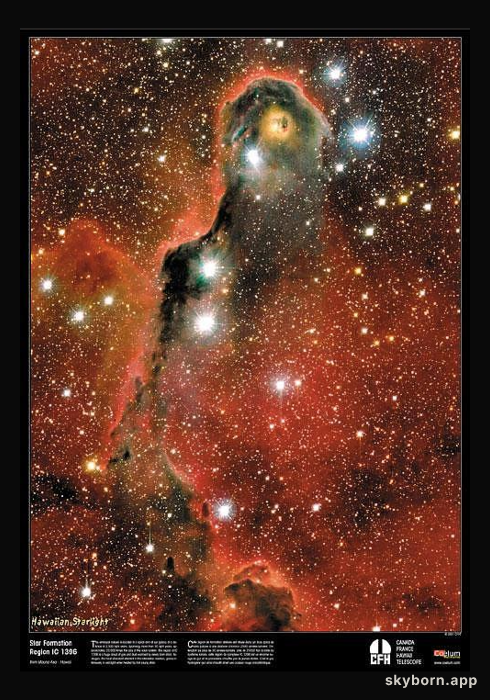 An Unusual Globule in IC 1396