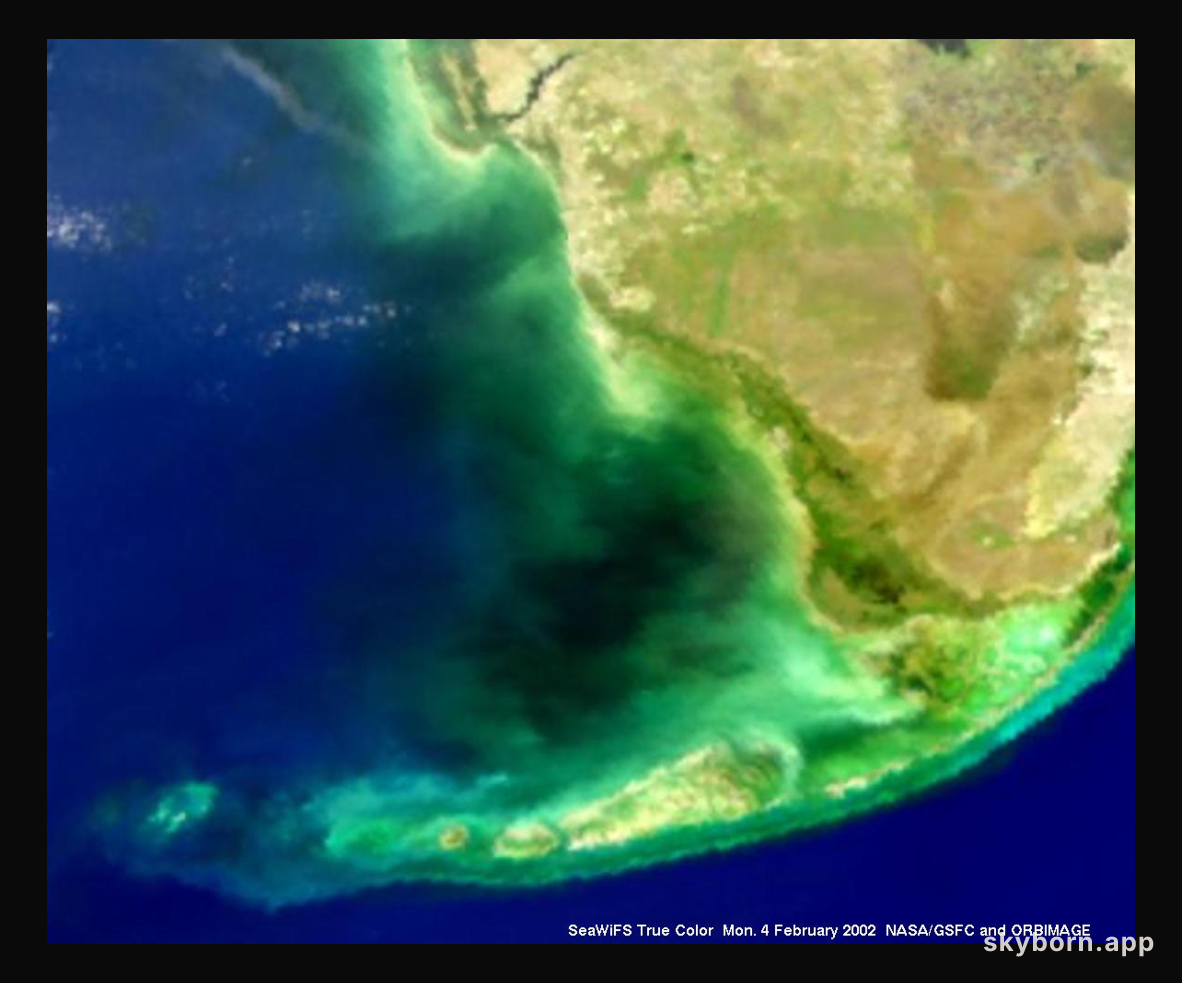 Mysterious Black Water in Florida Bay