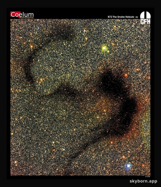 The Snake Nebula from CFHT