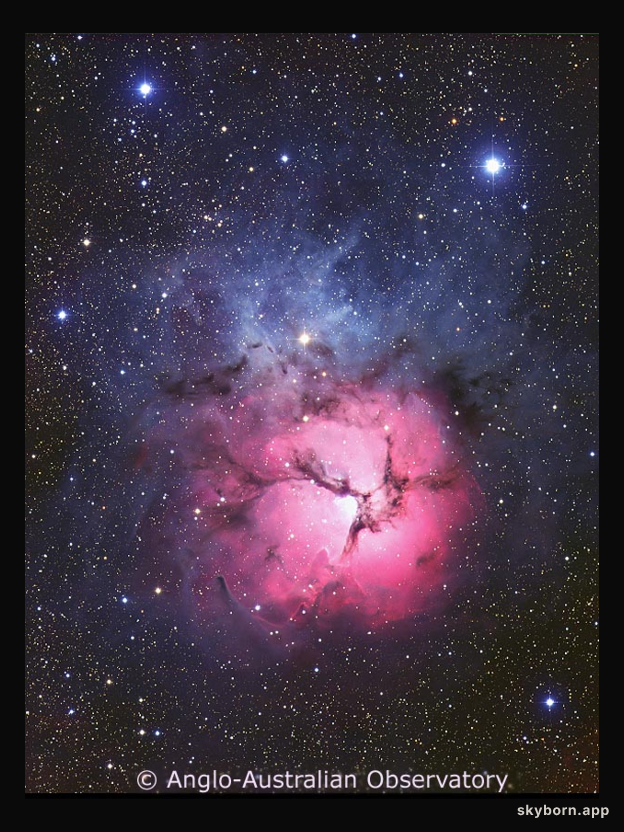The Trifid Nebula from AAO