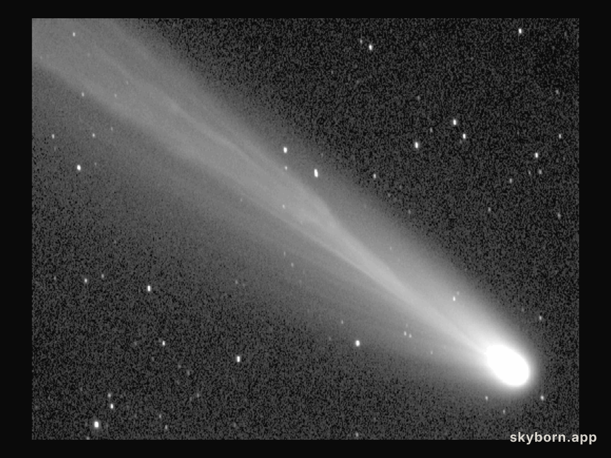 Tail Wags of Comet Ikeya-Zhang