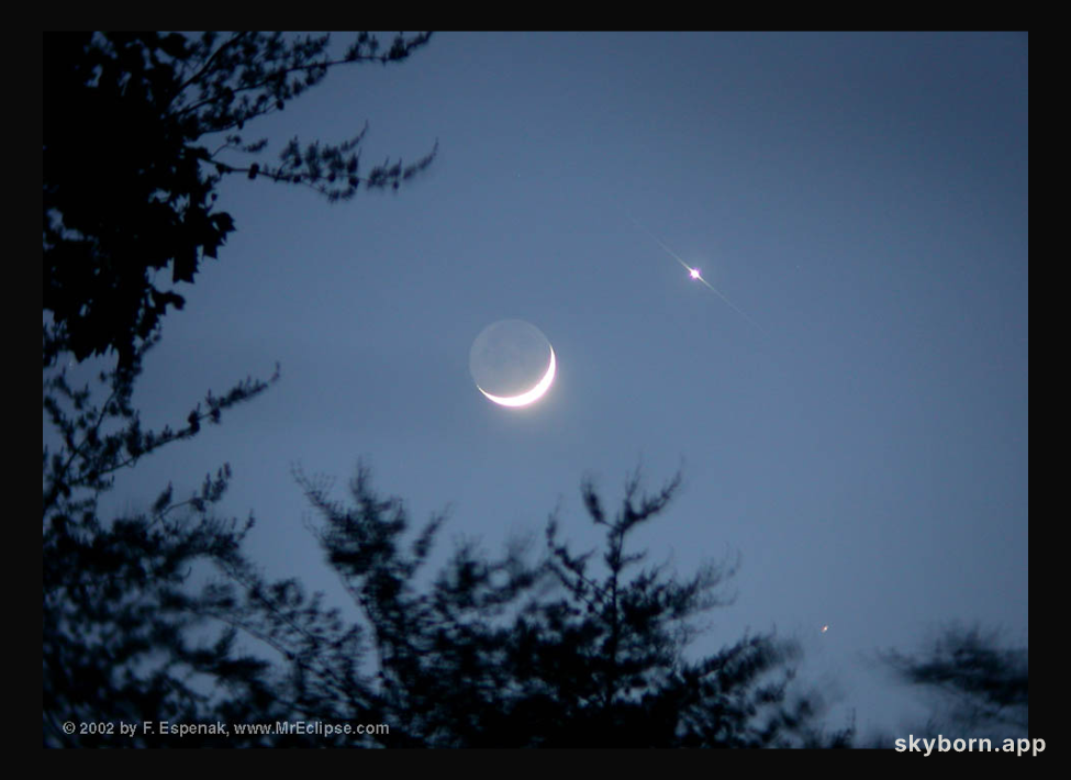 Love and War by Moonlight