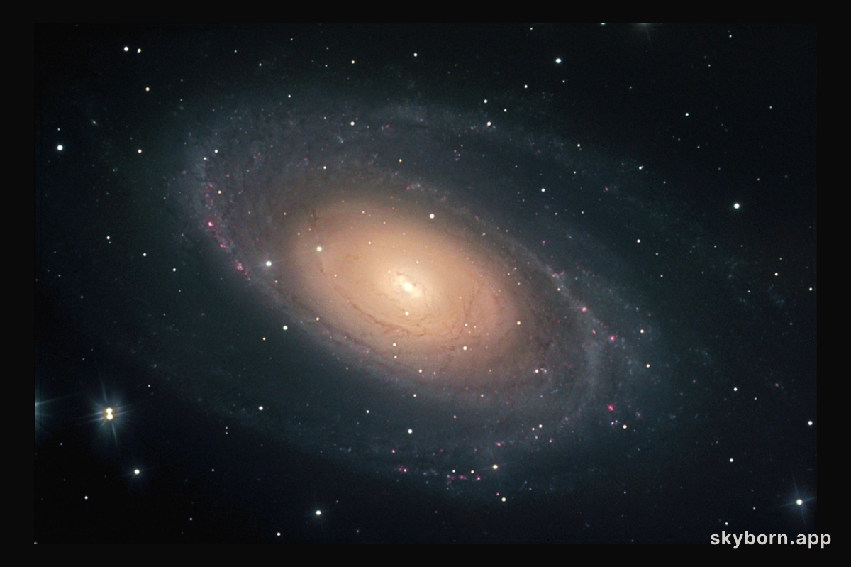 Bright Galaxy M81