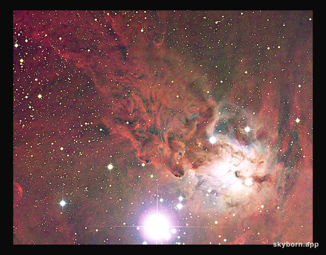 The Fox Fur Nebula