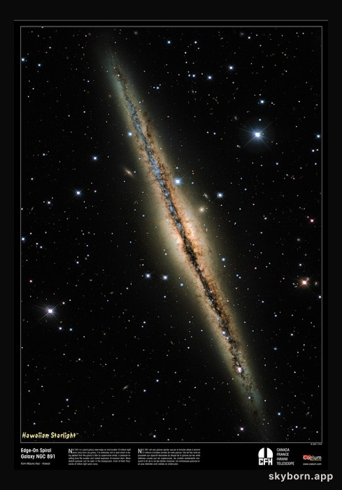 Interstellar Dust Bunnies of NGC 891