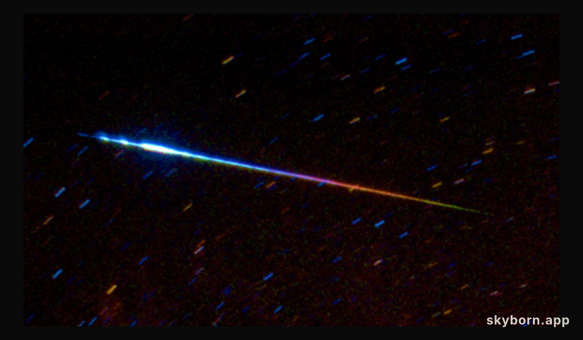 A Perseid Meteor