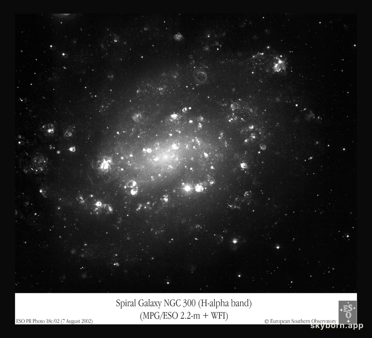 Shell Game in NGC 300