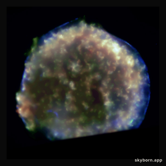 X-Rays From Tycho's Supernova Remnant