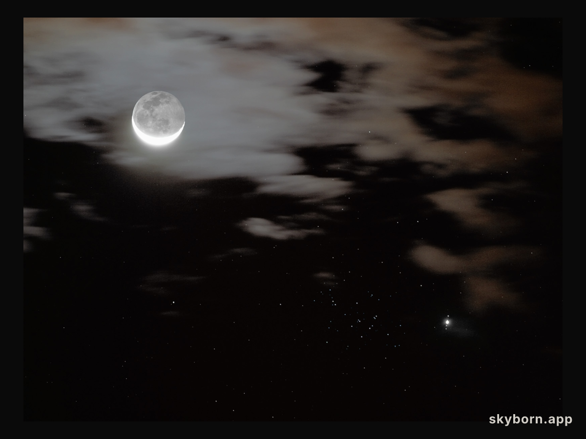Jupiter, Moons and Bees