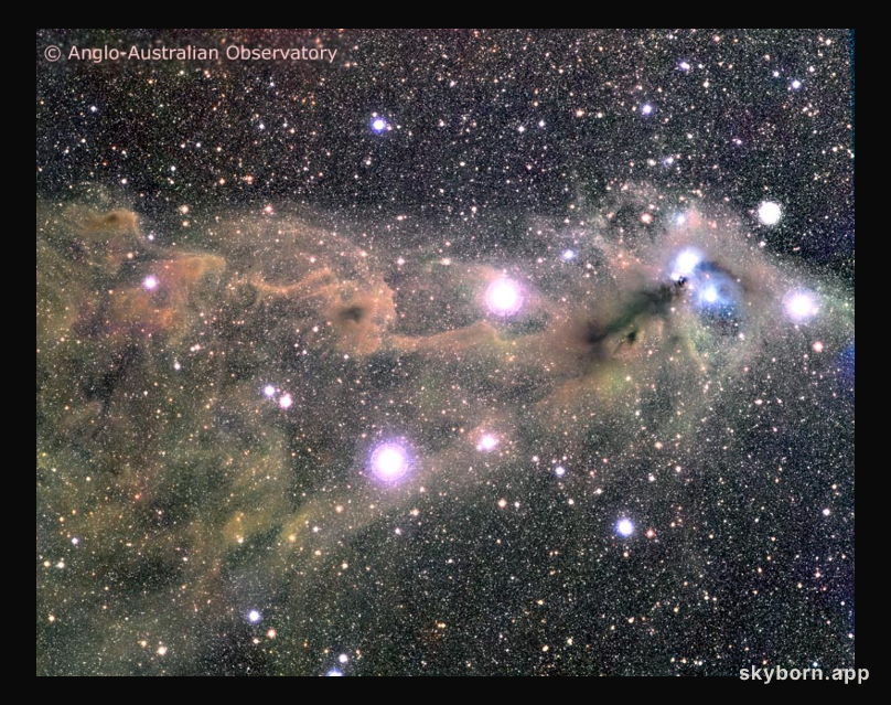 Star Clouds Toward the Southern Crown