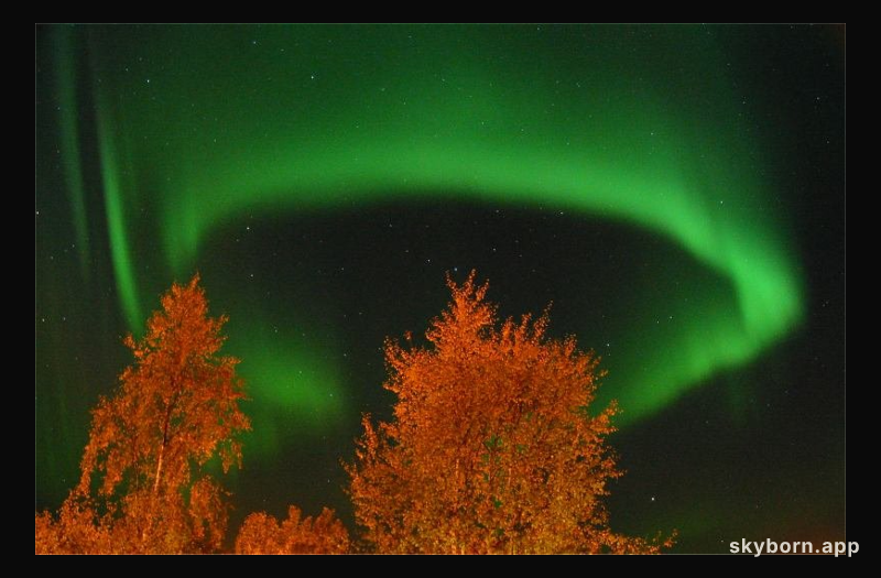 Aurora's Ring