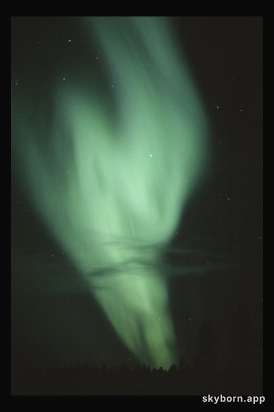Aurora in the Night