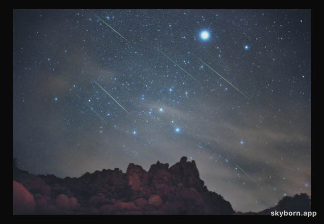 Leonids Over Joshua Tree National Park