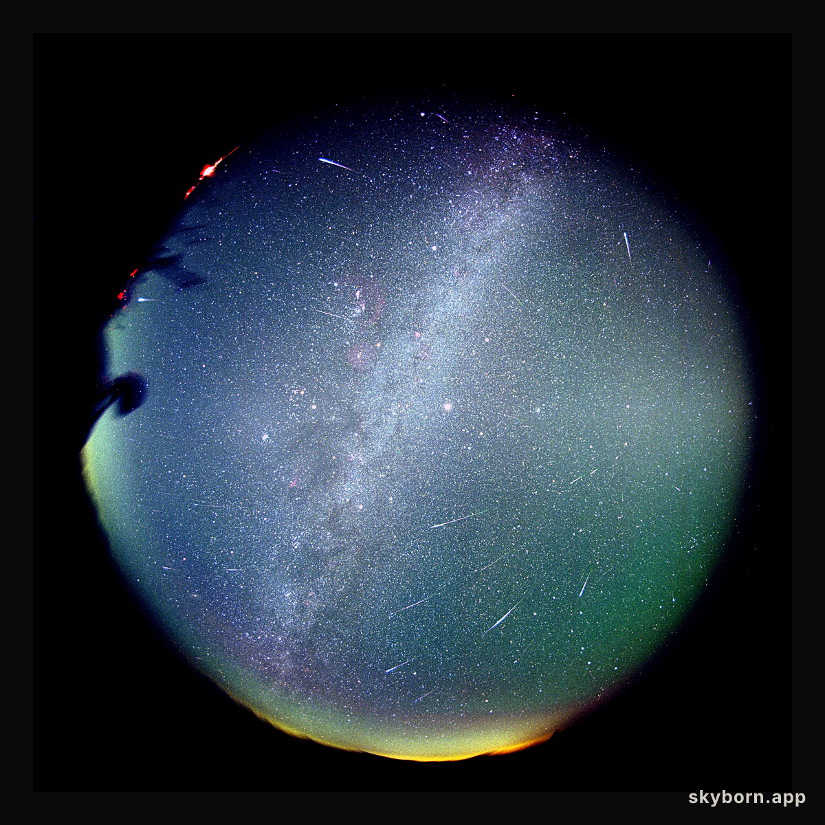 Leonids from Leo