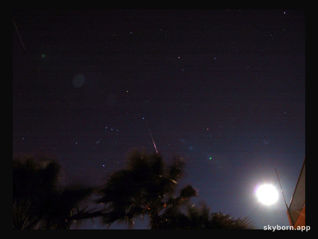 Leonids vs. The Moon