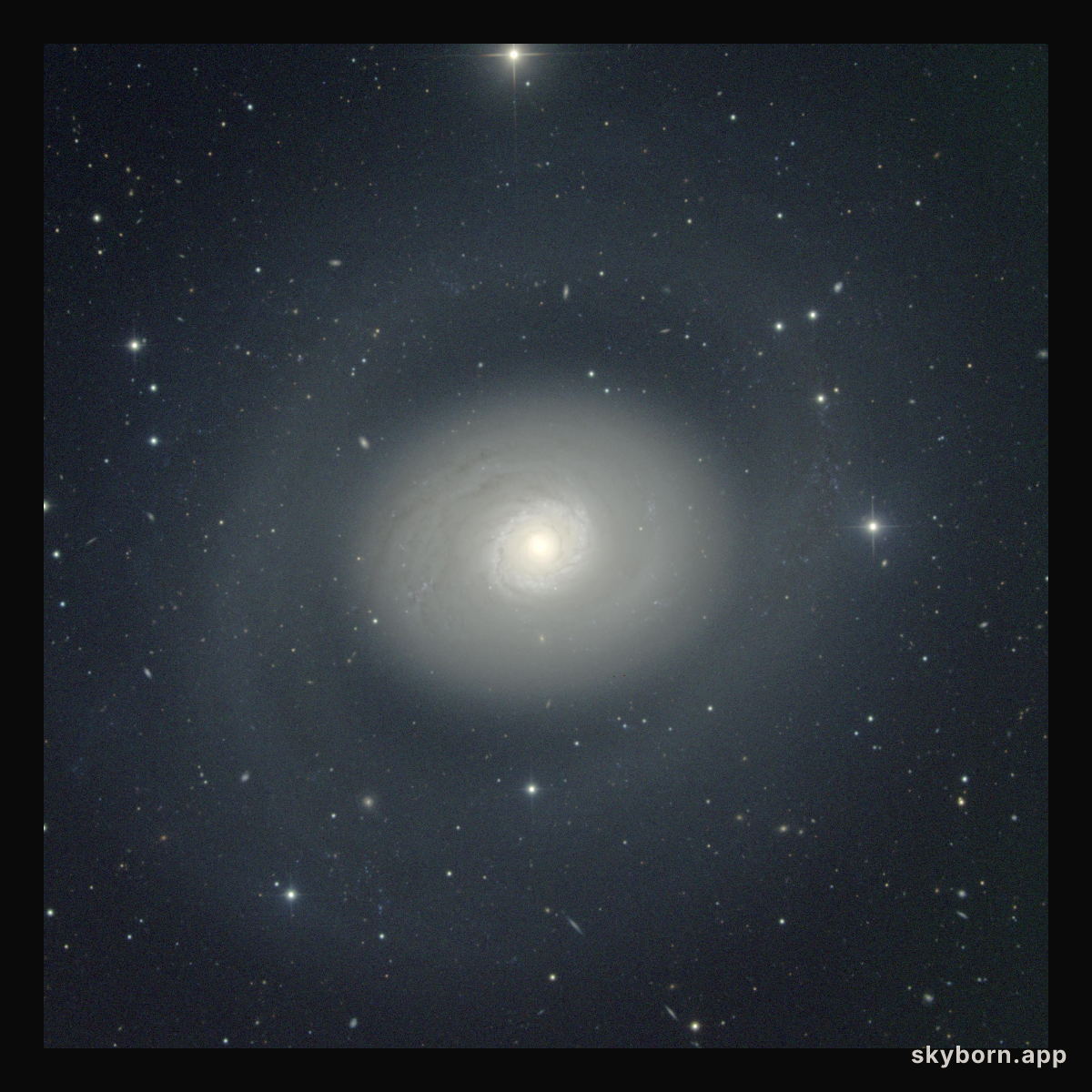 Starburst Galaxy M94