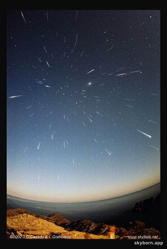 Leonids and Leica