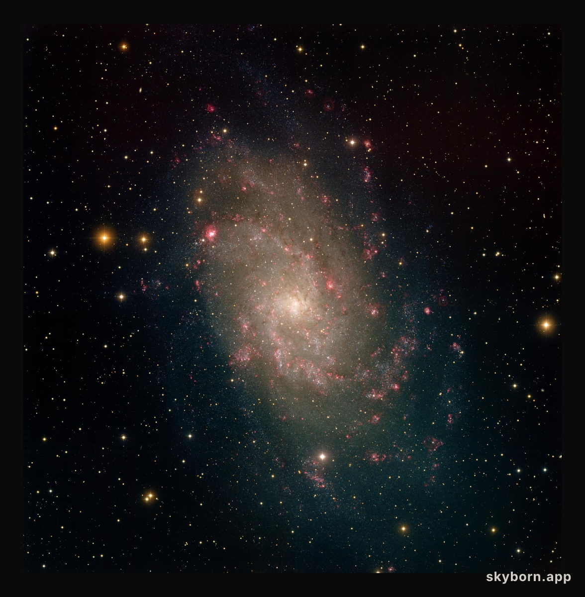 Nearby Spiral M33