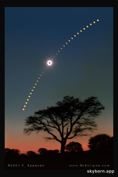 Eclipse Over Acacia