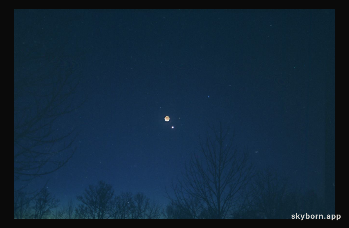 Moon, Mars, Venus, and Spica
