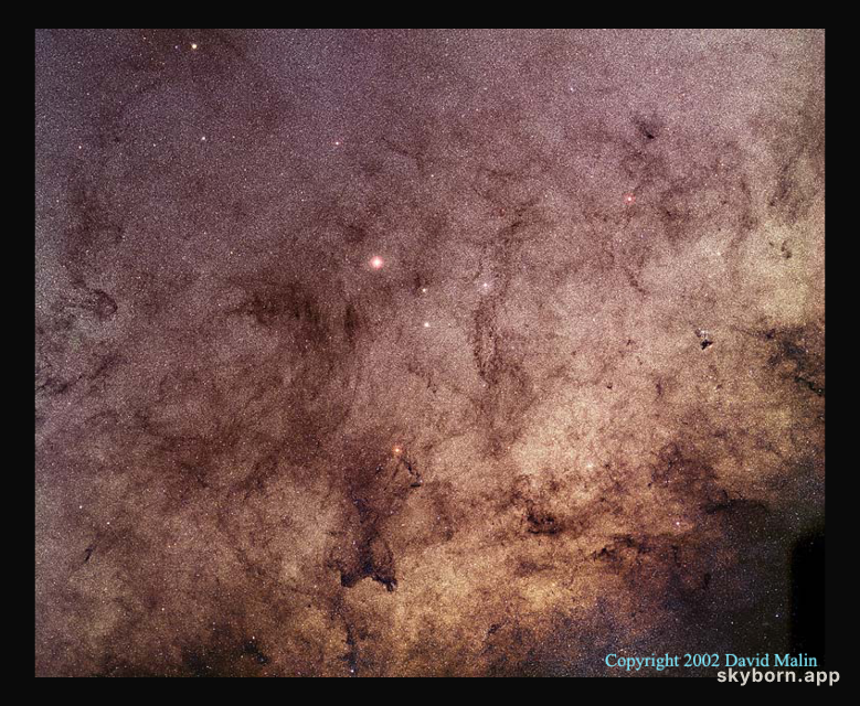Stars and Dust Through Baade's Window