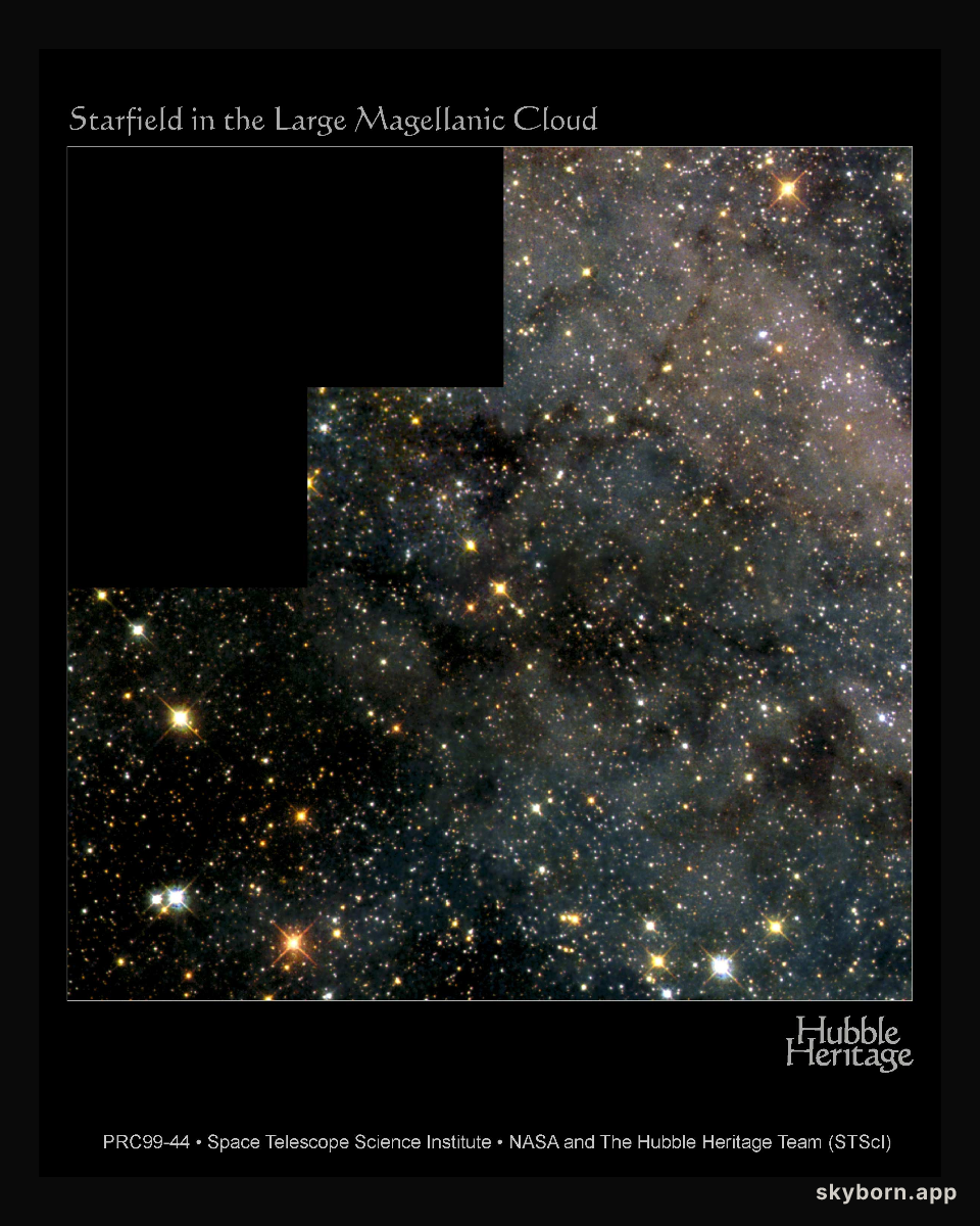 A Magellanic Starfield