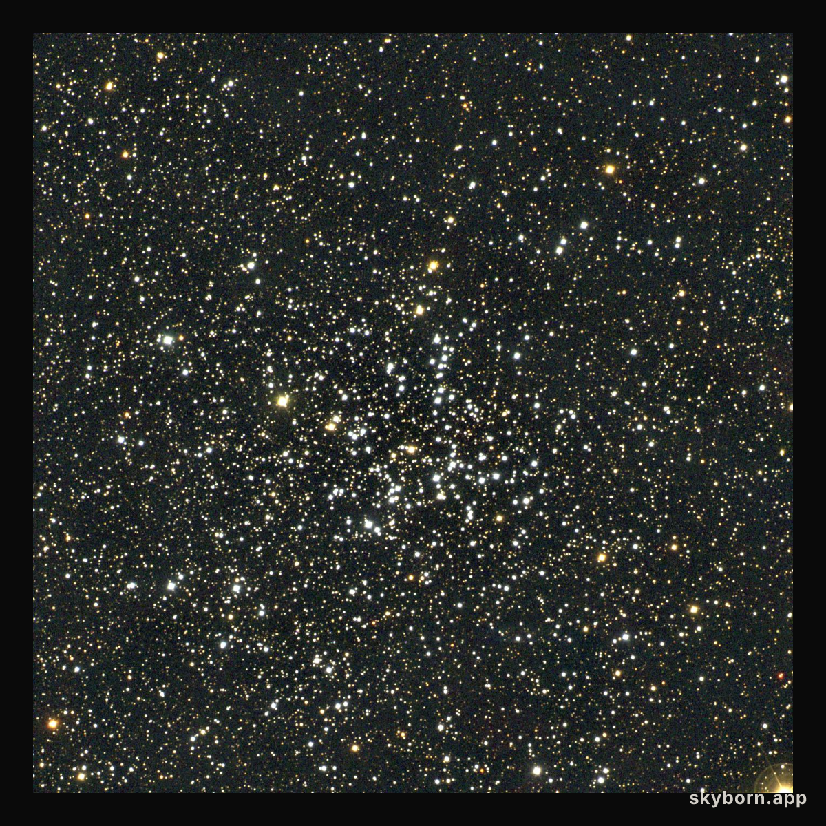 Open Star Cluster M38